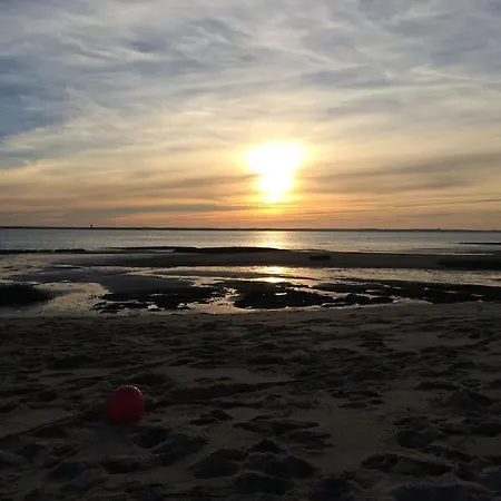 Neuve Sur Bassin D'arcachon